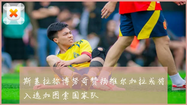 斯基拉称博努奇赞扬维尔加拉或将入选加图索国家队