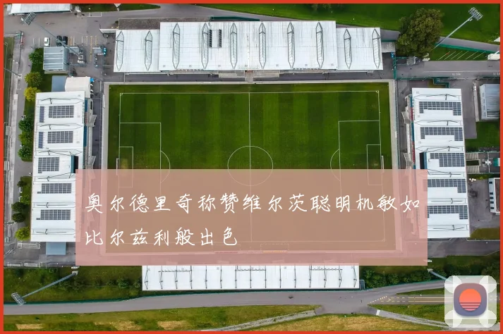 奥尔德里奇称赞维尔茨聪明机敏如比尔兹利般出色